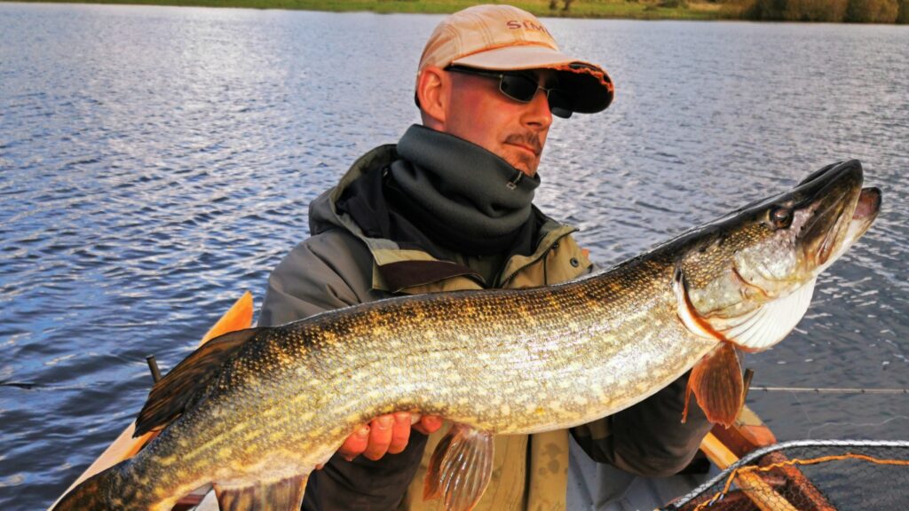 Brochet Lough Gowna