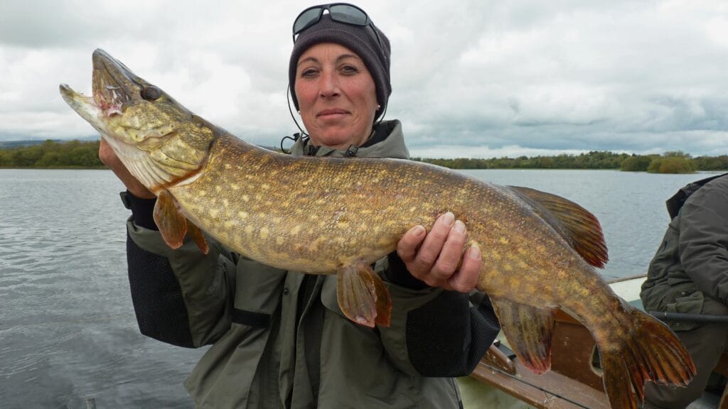 Brochet Irlandais - Lough Gowna